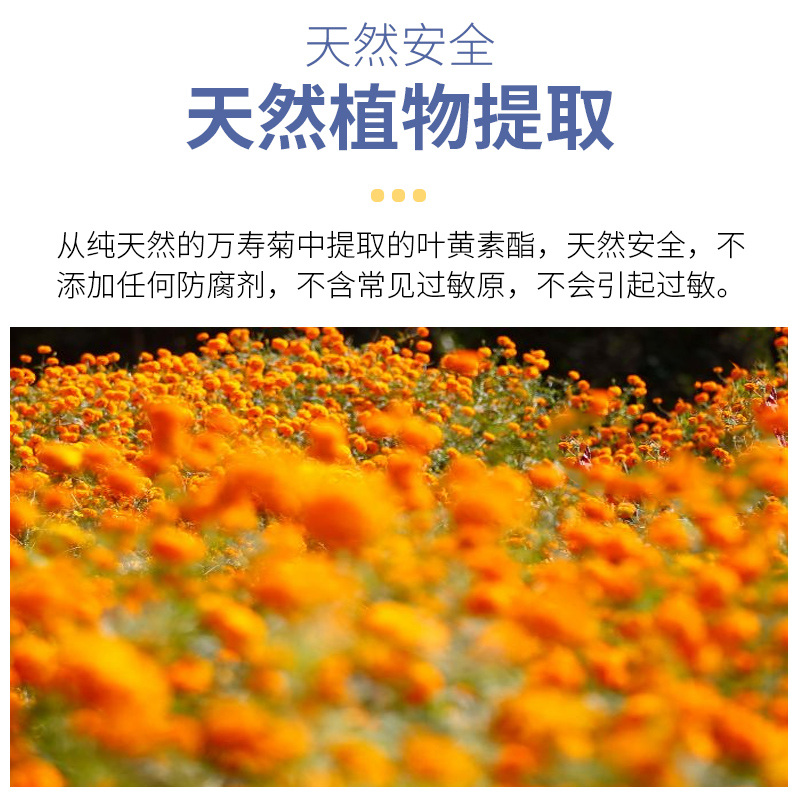 【防伪溯源】爱奇氏万寿菊叶黄素酯滴液青少年学生儿童眼营养