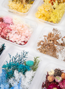 盒装diy手工天然永生花干花材料
