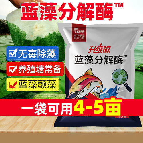 蓝藻分解素分解酶分解精水产养殖小龙虾蟹鱼塘除蓝藻颤藻净毒速灭 - 图0