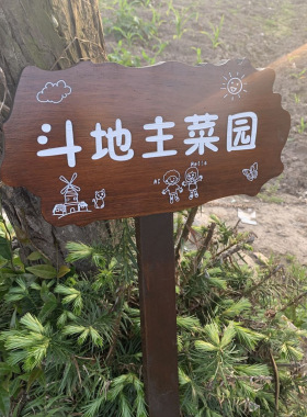 插地牌种植区蒂派森种植区植物