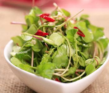 Microgreens Radish 新鲜萝卜苗50g/盒 可食用芽苗菜西餐摆盘素食 - 图2