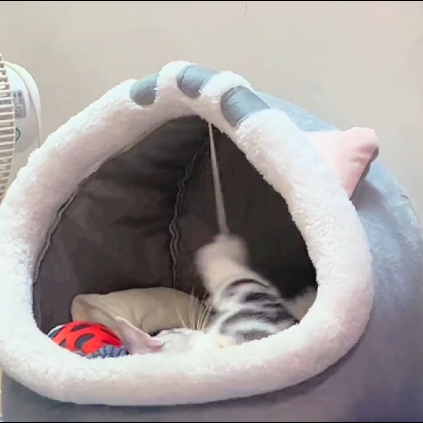 半封闭猫窝狗窝粉色兔子猫屋宠物四季通用睡觉的窝毛绒别墅保暖床,淘宝优惠券,粉丝福利购,淘宝优惠卷