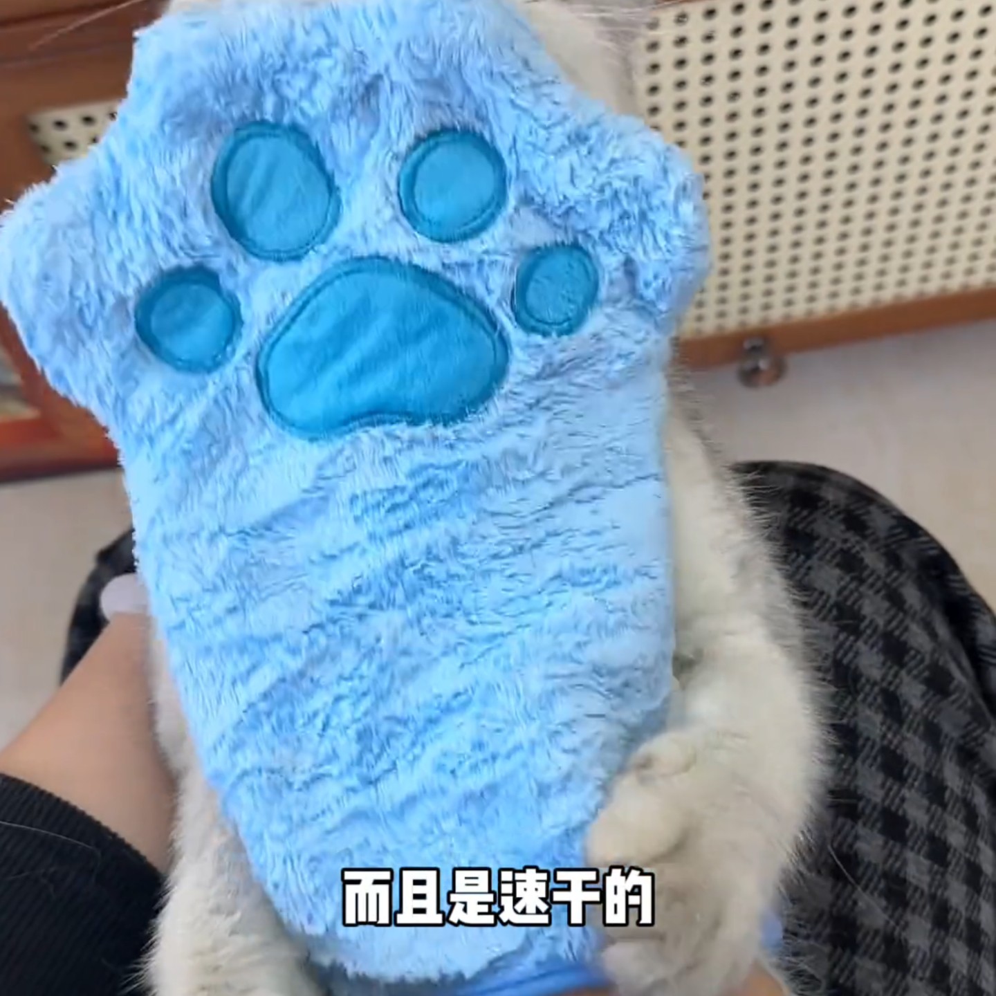 玻尿酸钠宠物免洗擦浴精华猫狗洗澡清洁香波保湿除臭精华洗护用品,淘宝优惠券,粉丝福利购,淘宝优惠卷