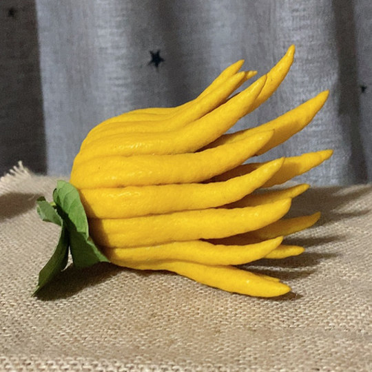 Jinhua bergamot, bergamot fruit, golden bergamot, open bergamot for display in water