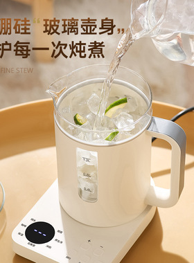 110V美规多功能养生壶家用烧水办公室小型煮茶器香港台湾花茶果茶