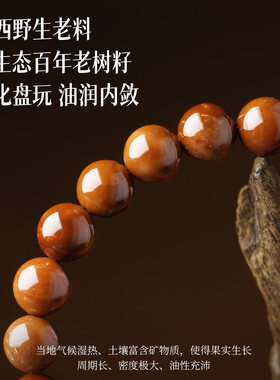 官方正品精品库克菩提手串男女菩提佛珠原籽木质文玩手链盘玩盘串