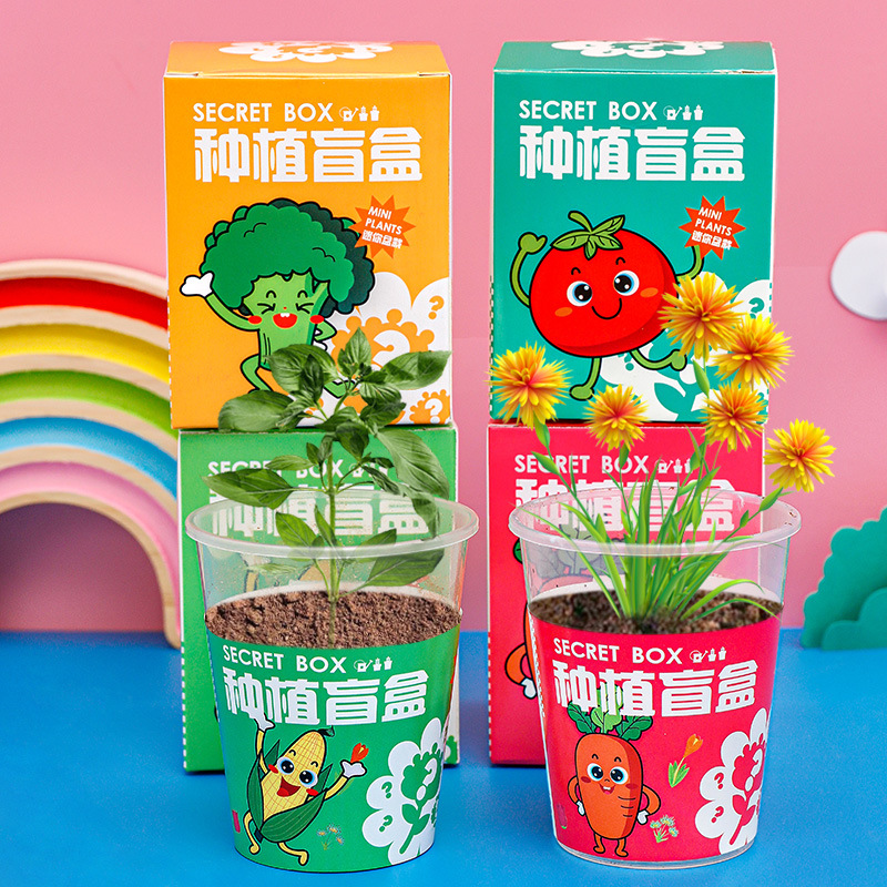 可爱创意桌面盆栽儿童DIY小礼品幼儿园全班分享生日礼物活动奖品