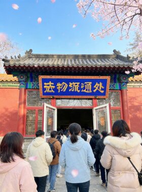 桃木山花钱平安牌钥匙扣本命年