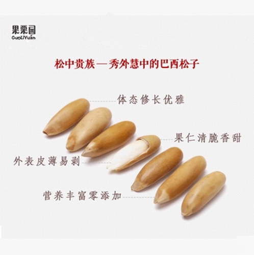 【果栗园】巴西原味松子长松子薄皮坚果零食大颗粒散装手剥 - 图2