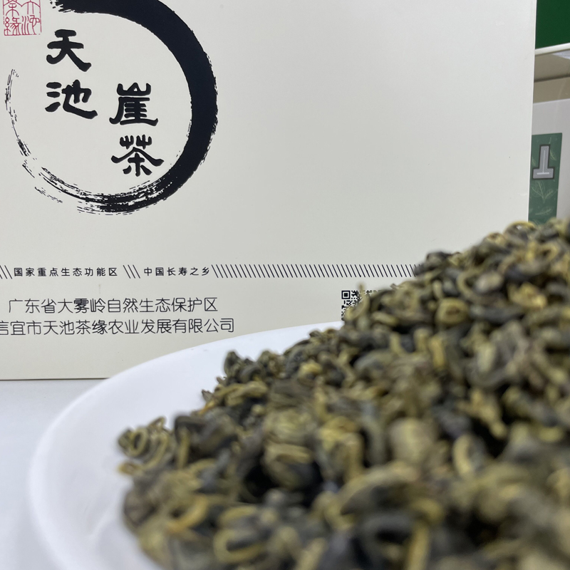 信宜长寿之乡特产大雾岭茶绿茶高山茶天池崖茶250g装2022年新茶雀