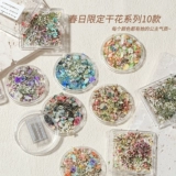 Японское брендовое маленькое украшение для ногтей для маникюра, наклейки для ногтей, набор материалов, цветочный принт, «сделай сам»