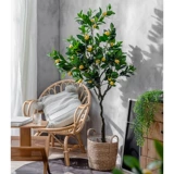 Лимонное скандинавское напольное украшение в помещении, лампа для растений для гостиной