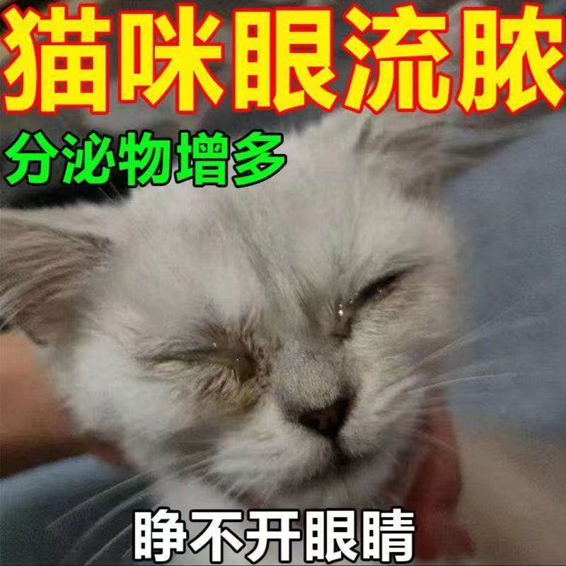 猫咪眼睛发炎流泪宠物滴眼液治眼角红肿流脓抗菌消炎眼药水,淘宝优惠券,粉丝福利购,淘宝优惠卷