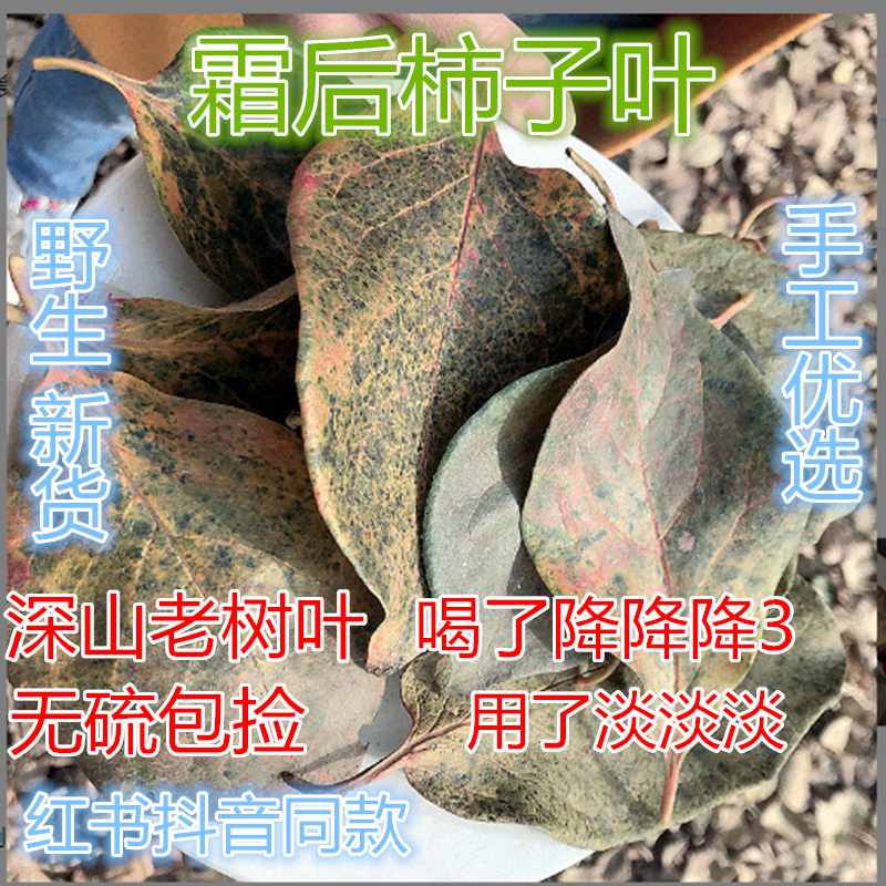 中药材 柿叶无硫  柿子叶子柿树叶500g 包邮天然 正品野生霜柿叶 - 图0