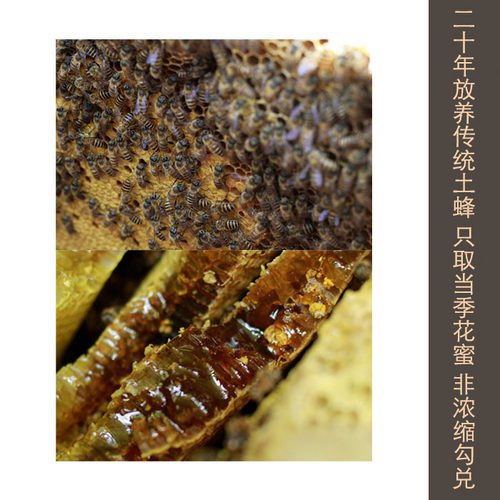 四角山自产百花蜜深山土蜂蜜中华野山蜂成熟原蜜野花蜜 买3送1 - 图2