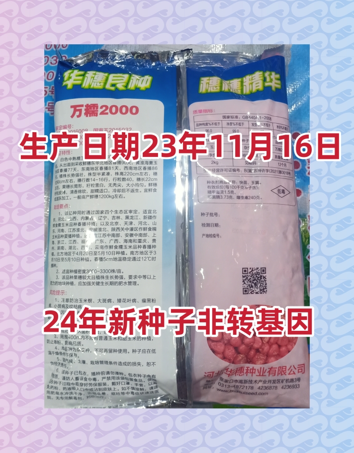 河北华穗万糯2000白粘玉米种子籽甜加粘鲜食冷冻春秋播高产大棒