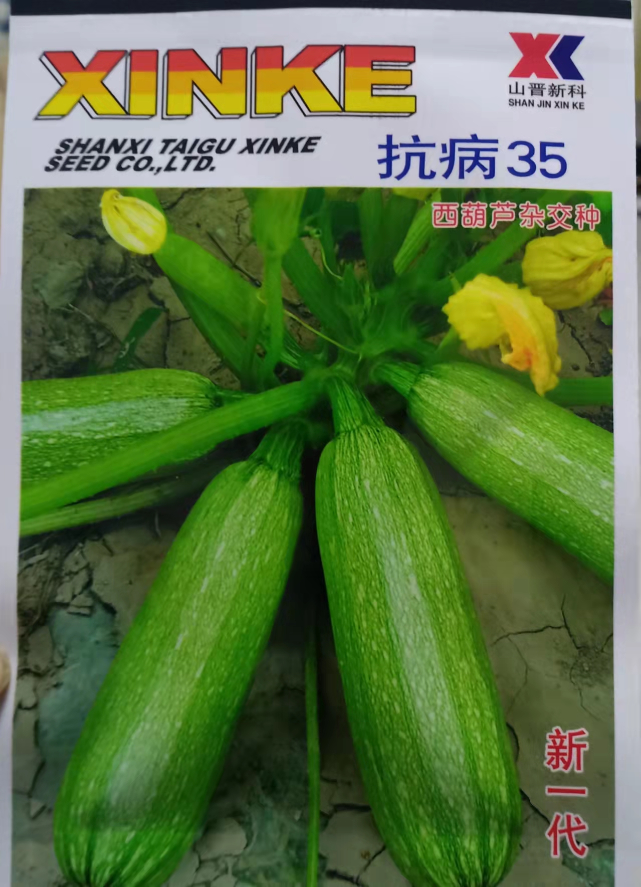 大西葫芦种子菜农专用庭院小菜园栽种老品种抗病优质春季秋季蔬菜 - 图1