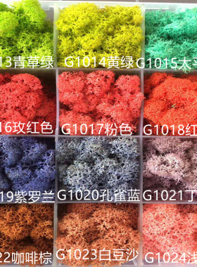 永生粘贴青苔花艺材料景观diy