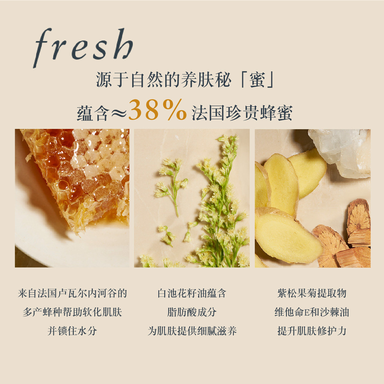 fresh馥蕾诗古源修护蜂蜜女面膜 Fresh馥蕾诗涂抹面膜