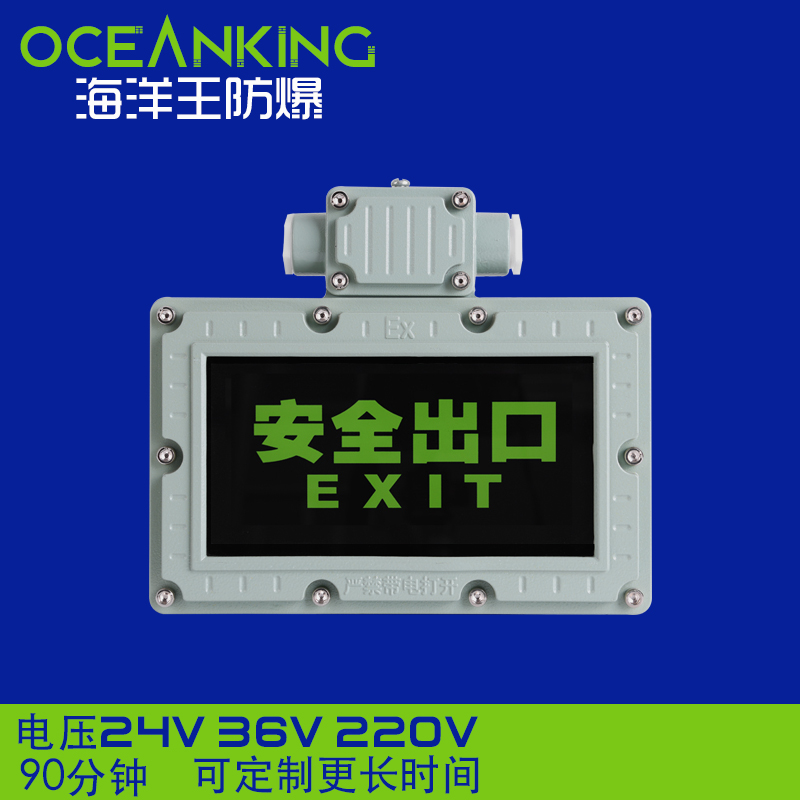 防爆安全出口指示牌双头应急照明灯LED消防疏散220V36V24v海洋王 - 图0