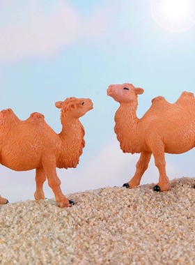 微景观盆栽摄影手工可爱风小动物