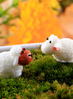 盆栽卡通情侣微景观摄影小动物