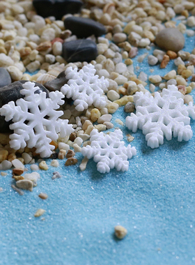 diy生态瓶雪花盆栽摄影小摆件