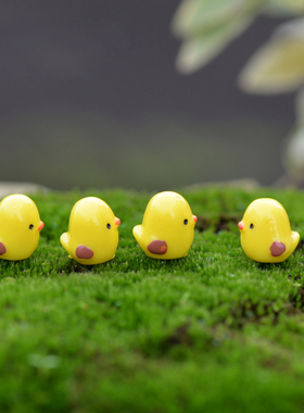 微景观黄色可爱风盆栽小动物