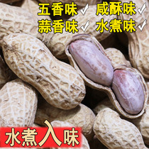 Dragon Rock Peanut Garlic Fragrant 5-spice salted brine White sunburn Boiled Water Boiled Peanuts Rice With Shell Fried Goods Snack Cooked Wholesale