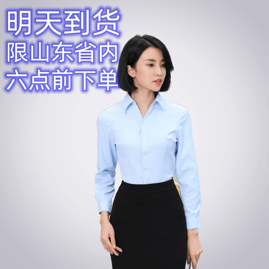 Весенне-осенняя рубашка с длинными рукавами для карьеры учителя на собеседовании на государственного служащего