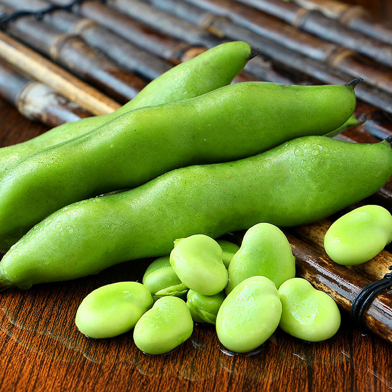 蚕豆新鲜蔬菜农家自种带壳嫩胡豆5斤装包邮当季时令鲜蚕豆现摘-图1