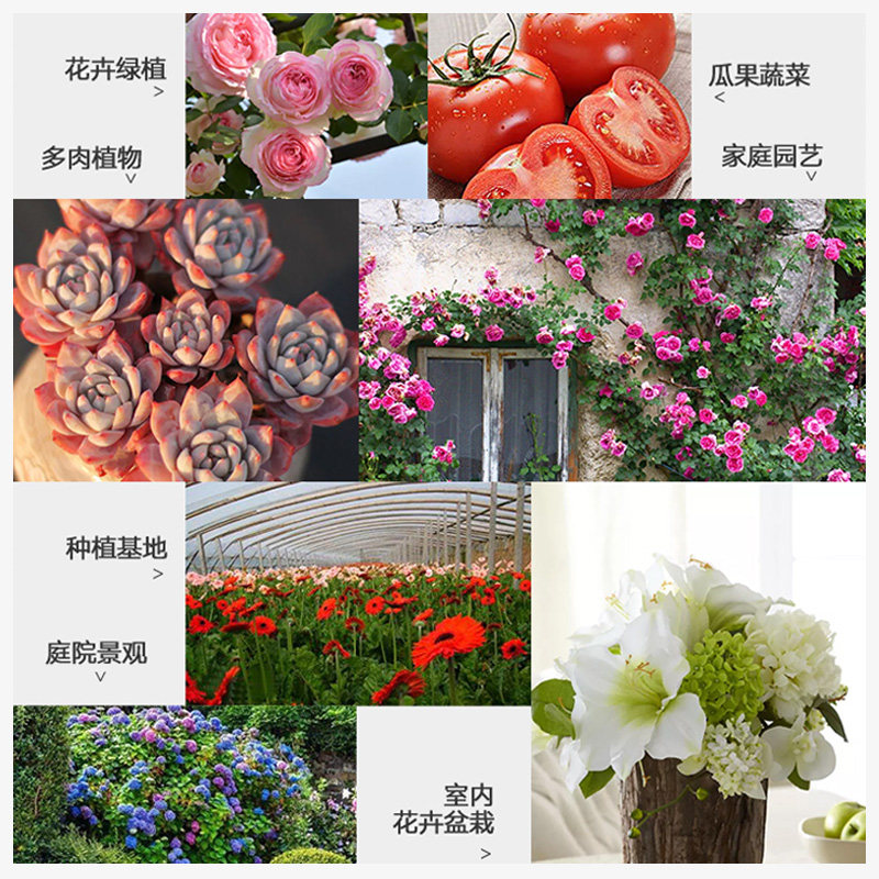 通用型磷酸二氢钾花肥料花卉专用果树正品农用养花用磷钾肥叶面肥,淘宝优惠券,粉丝福利购,淘宝优惠卷