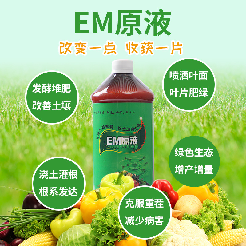 EM菌原液EM菌原露有机种植改良土壤防病花肥营养液发酵菌EM益生菌 - 图1