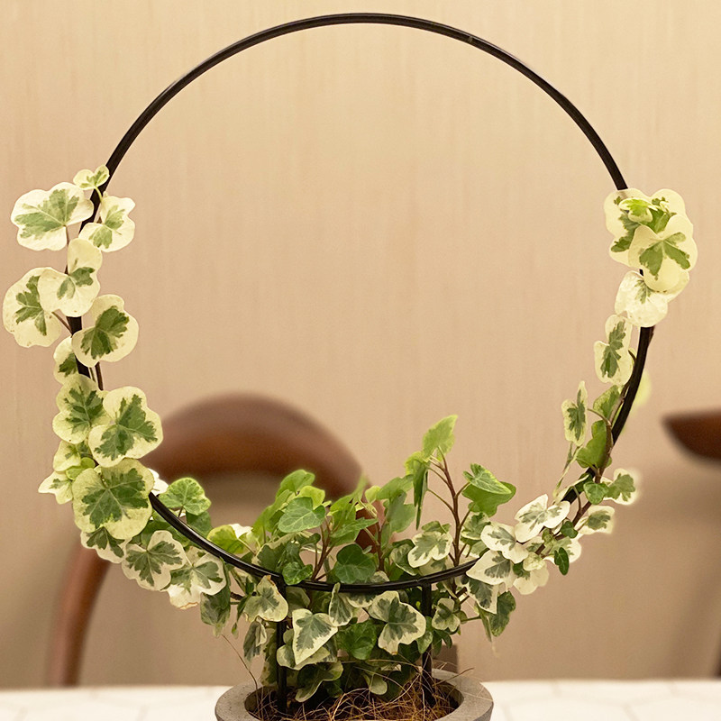 铁艺造型爬藤架防倒支撑架支架山乌龟花盆阳台绿植盆景架雪莹花架,淘宝优惠券,粉丝福利购,淘宝优惠卷