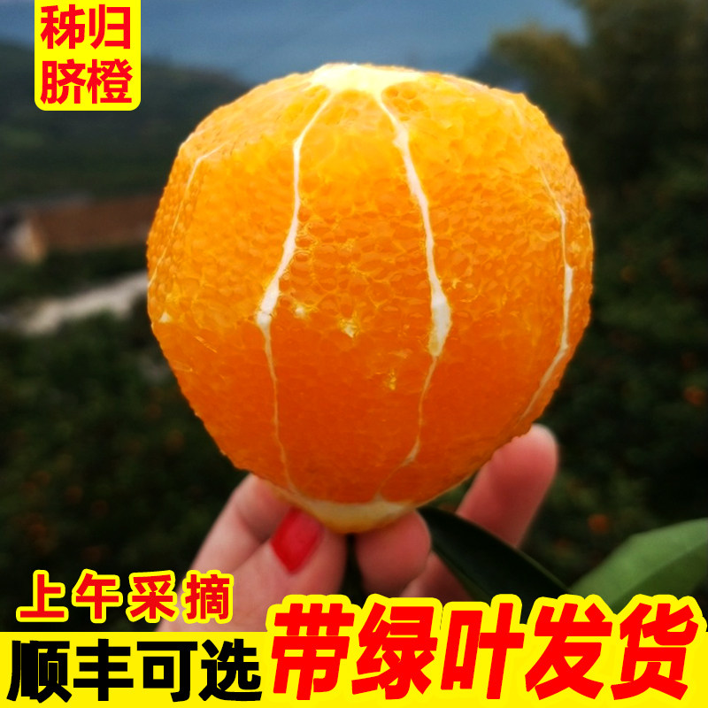 湖北正宗秭归脐橙纽荷尔新鲜水果橙子当季大个手剥橙九月红果冻橙,淘宝优惠券,粉丝福利购,淘宝优惠卷