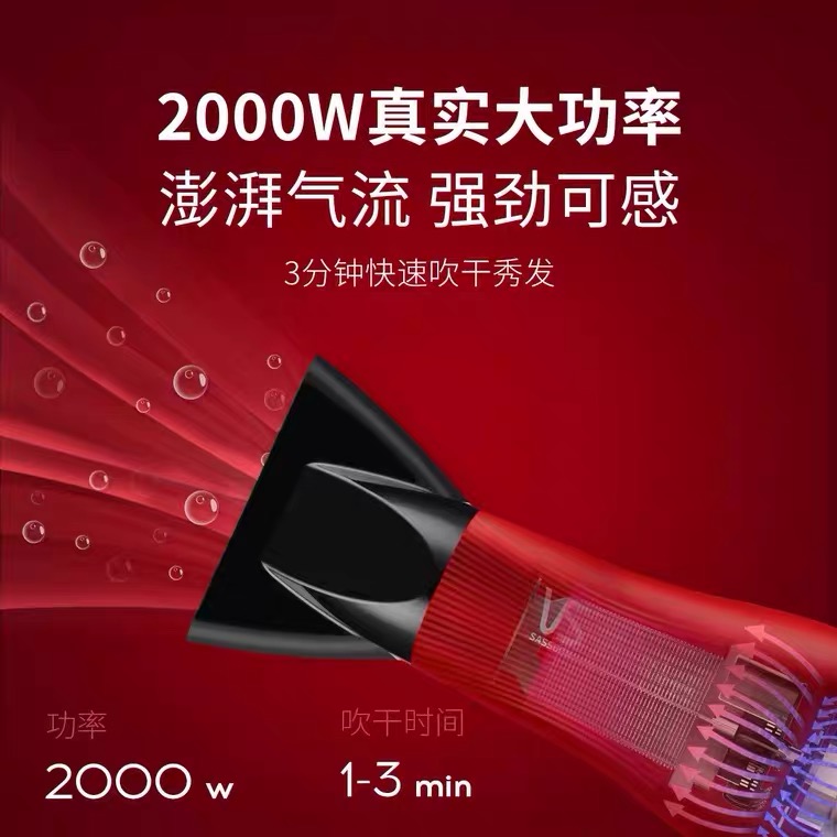 沙宣吹风机负离子电吹风恒温家用大功率2000w冷热速干吹风筒护发