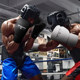 Professional boxing gloves for adults men and women Sanda fighting boxing gloves Sanda Muay Thai sandbag training microfiber gloves