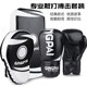Boxing Gloves Sparring Target Training Parent-Child Set