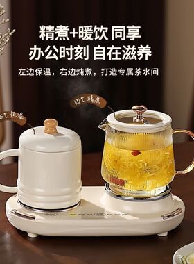 养生杯电热杯全玻璃恒温双杯