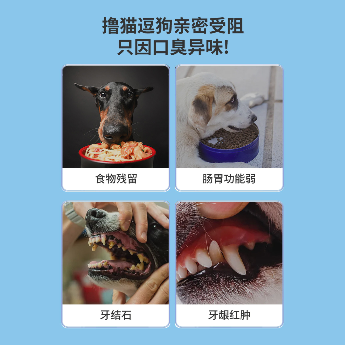 宠物洁齿水狗狗猫咪洁牙可食用去除口臭益生菌漱口水口腔结石清洁,淘宝优惠券,粉丝福利购,淘宝优惠卷