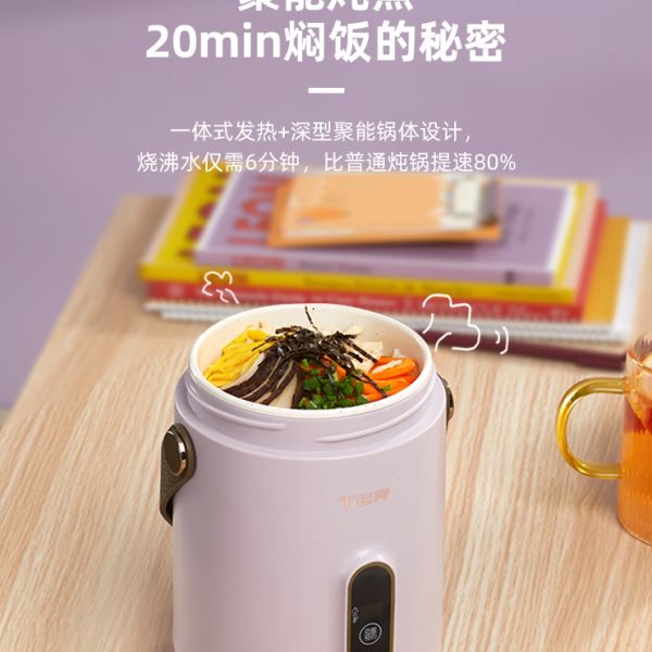 TER小电炖锅煮粥神器家用多功能迷你便携炖煮锅宝宝辅食煲汤熬粥-图3