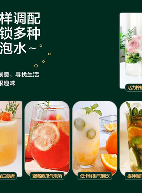 格力便携式碳酸饮料气泡水机