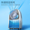 Gree small dehumidifier household 12L smart drying
