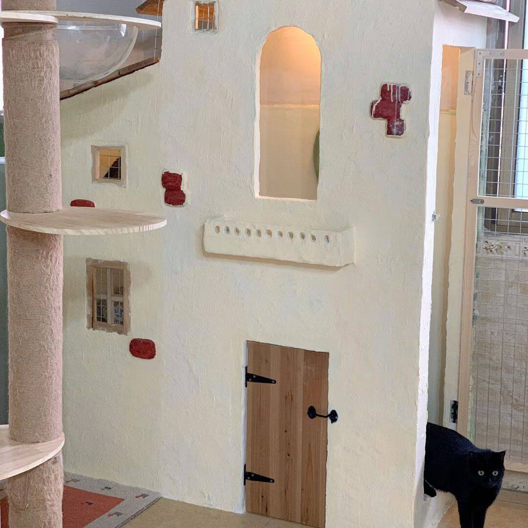 xps挤塑板DIY猫狗窝保温防风板材装饰墙流浪猫窝猫别墅【仅板材】,淘宝优惠券,粉丝福利购,淘宝优惠卷