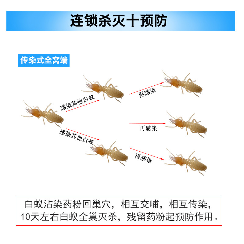 灭白蚁防治专用药非广昆白蚁药粉装修传染全窝端杀虫剂一巢灭粉剂 - 图1