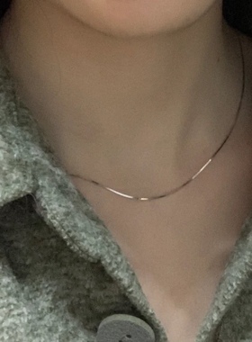 轻奢极简高级精致蛇骨项链