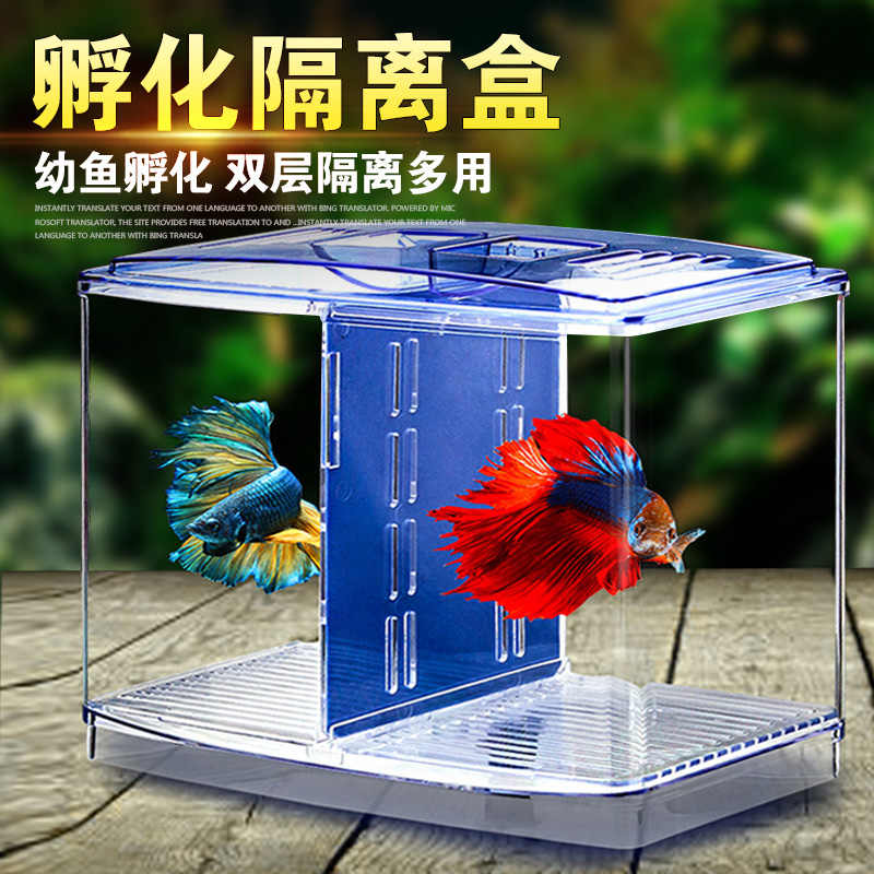 鱼隔离箱 新人首单立减十元 21年8月 淘宝海外