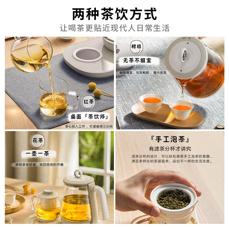 荣事达家用多功能烧水花茶壶养生壶 royalstar明华养生壶/煎药壶