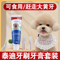 Teddy dog special toothpaste toothbrush suit Puppy dog puppy to eat small dog puppies Oral cleaning