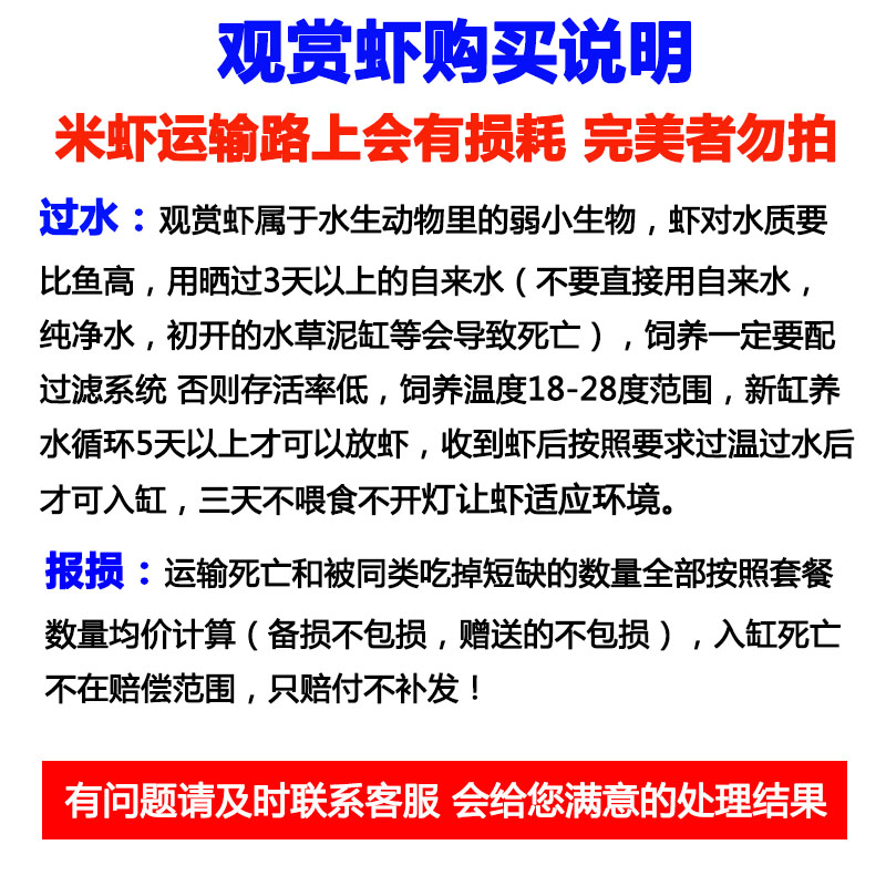 观赏虾米虾活体套餐淡水工具除藻极火虾蓝宝石樱花虾宠物虾粮包邮-图0